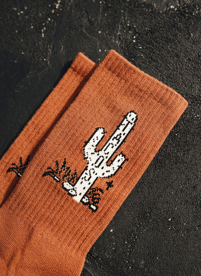 Cactus Taco Socks